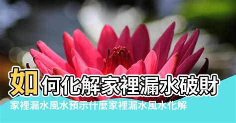 家裡漏水風水|【房頂滴水風水】8問題恐傷心傷身 